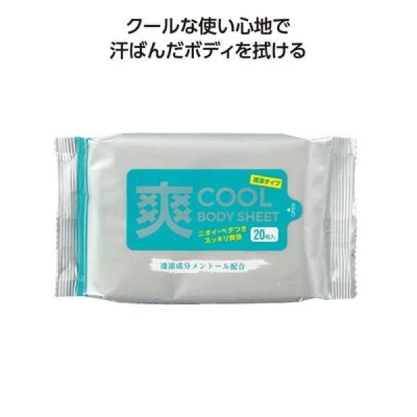 爽クールボディシート２０枚入の写真