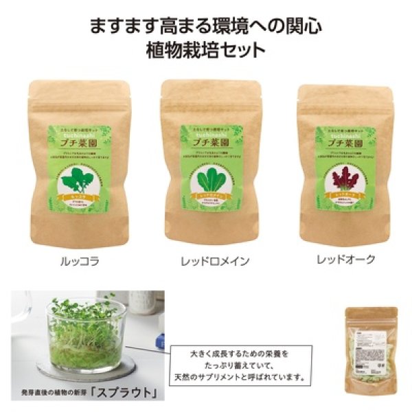 土なしプチ菜園栽培セットの写真