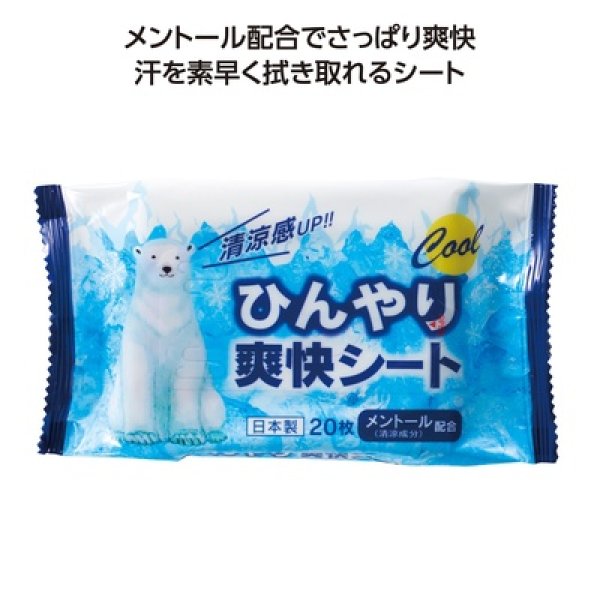 ひんやり爽快シート２０枚入の写真
