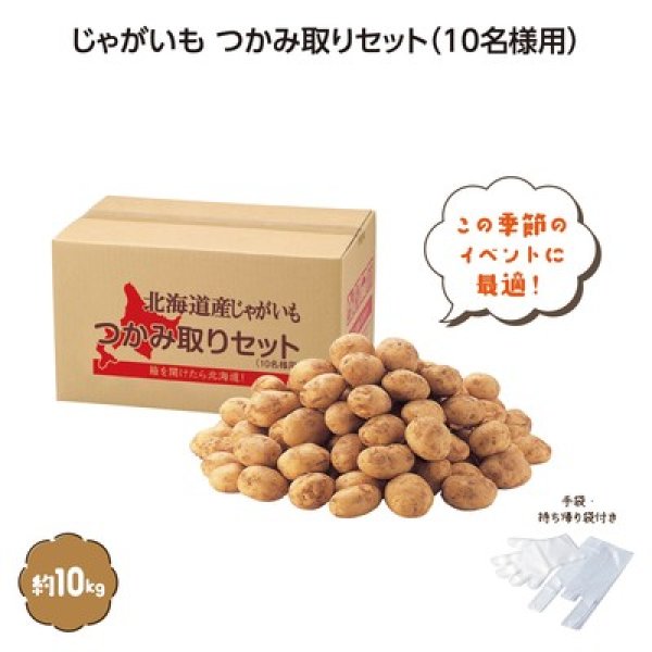 北海道じゃがいもつかみどり１０ｋｇ（１０名様）の写真