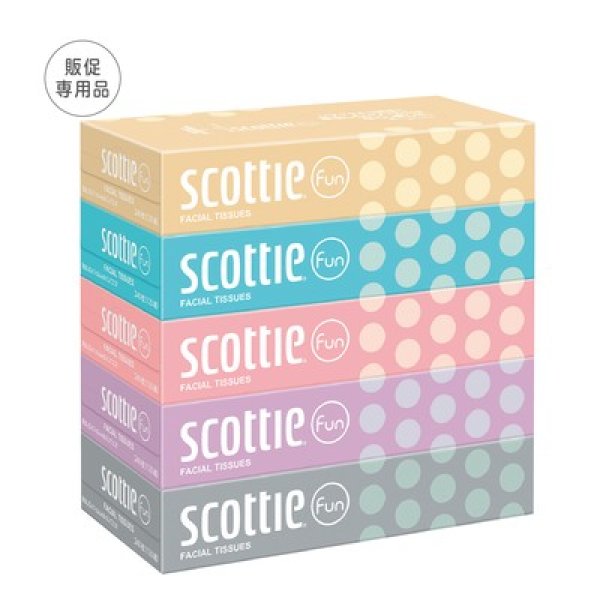 スコッティ ティシューファン120W5個組の写真