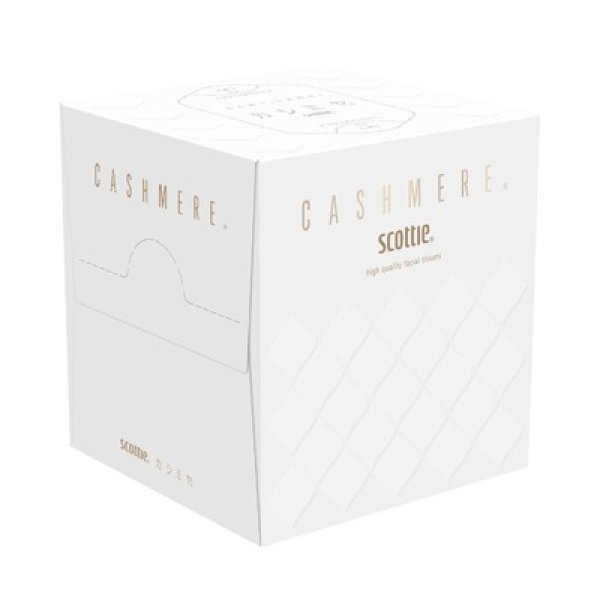 スコッティ　カシミヤキューブ８０Ｗの写真