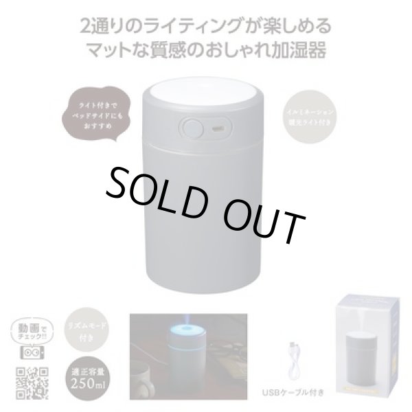 ２パターンライト加湿器の写真