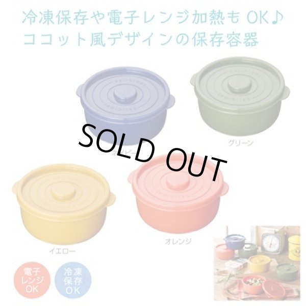 デリッシュ　保存容器ラージの写真