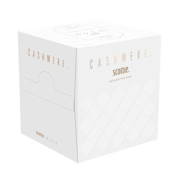 スコッティ　カシミヤキューブ８０Ｗの写真