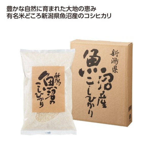 新潟魚沼産こしひかり７００ｇの写真