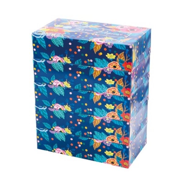 エコフラワーＢＯＸティッシュ１５０Ｗ５個組の写真