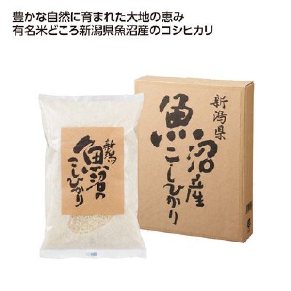 新潟魚沼産こしひかり７００ｇの写真