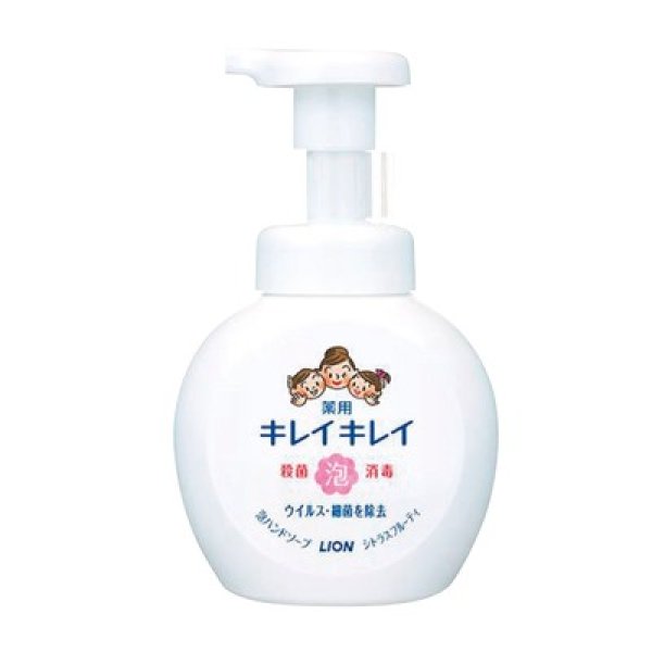 キレイキレイ　薬用泡ハンドソープ２５０ｍｌの写真