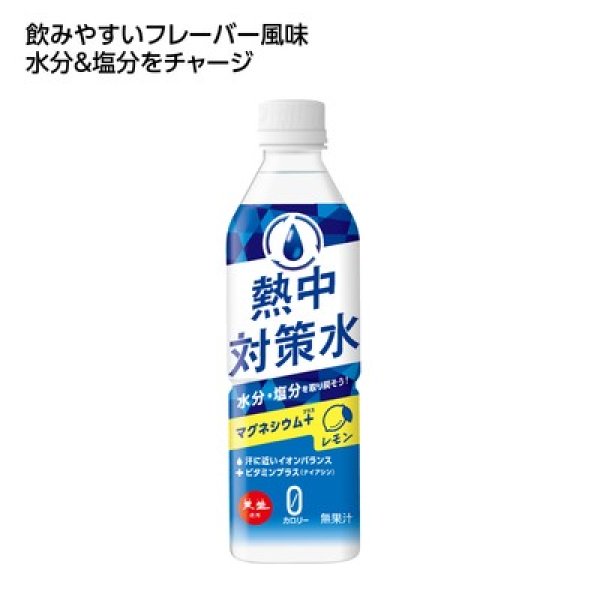熱中対策水　レモン味の写真
