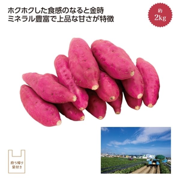 鳴門里浦産「吉岡さんちのなると金時」Ｍ２ｋｇの写真