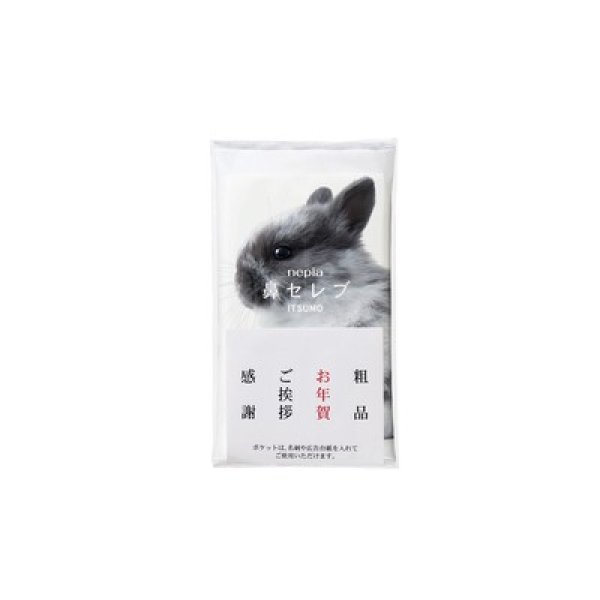 ネピア　鼻セレブＩＴＳＵＭＯ４８Ｗ（名刺ポケット付き）の写真