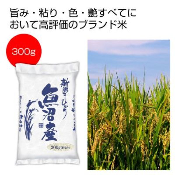 新潟魚沼産こしひかり３００ｇの写真