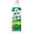 画像2: 熱中対策水　日向夏味５００ｍｌ (2)