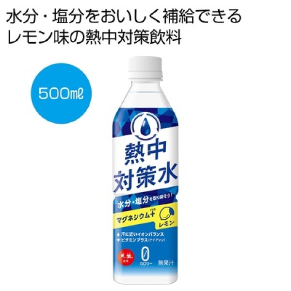 熱中対策水レモン味５００ｍｌの写真