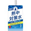 画像2: 凍らせて食べる　熱中対策水　レモン味３００ｇ (2)