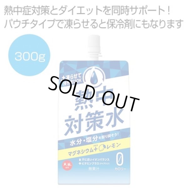 凍らせて食べる　熱中対策水　レモン味３００ｇの写真