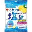 画像2: ブルボン　ミネラル塩飴 (2)