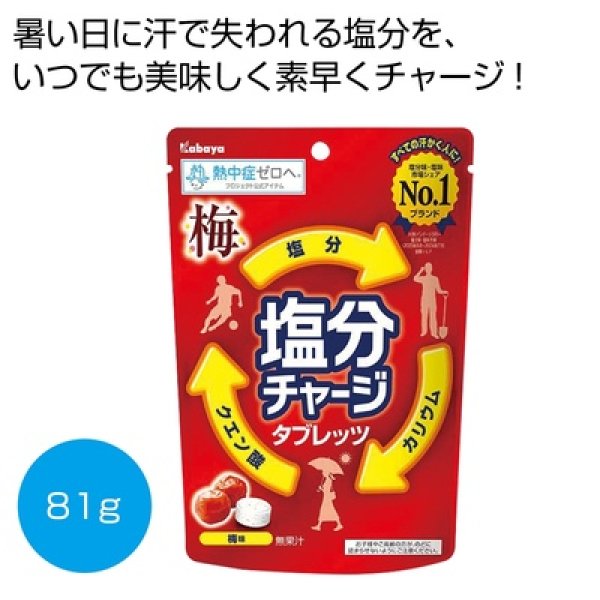 塩分チャージタブレッツ　梅味８１ｇの写真