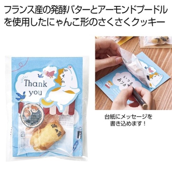おひるねにゃんこはバタークッキーの香り【Ｔｈａｎｋｙｏｕ】ティグル（茶トラ白）の写真