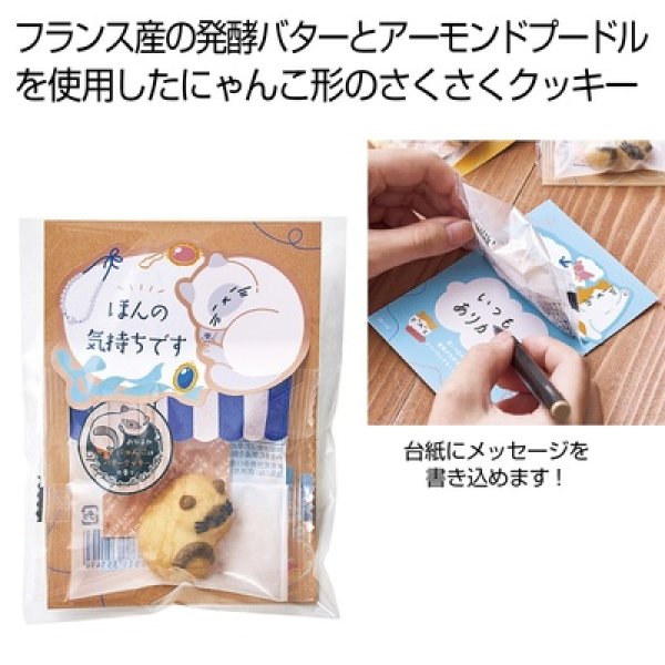 おひるねにゃんこはバタークッキーの香り【ほんの気持ちです】シピ（シャム）の写真