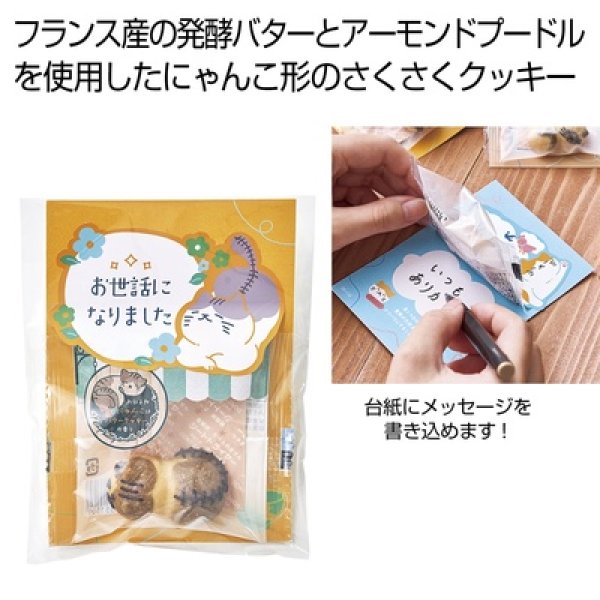 おひるねにゃんこはバタークッキーの香り【お世話になりました】ミネット（サバ白）の写真