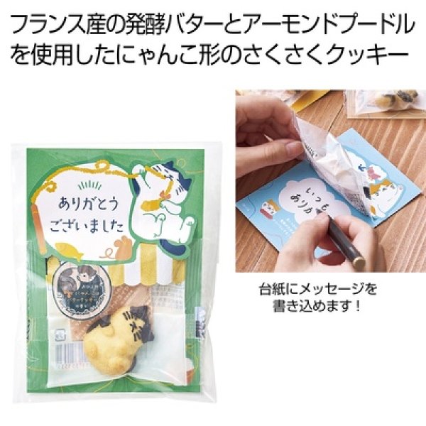 おひるねにゃんこはバタークッキーの香り【ありがとうございました】ジェニ（ハチワレ）の写真