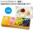 至福の逸品　贅沢フルーツゼリー３種セットの写真