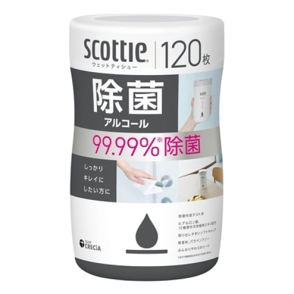 スコッティウェットティシュー除菌アルコール１２０枚の写真