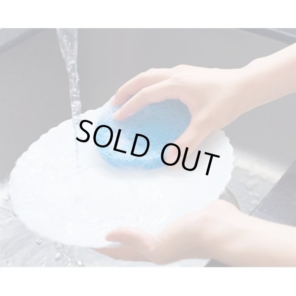 画像4: セルロース地球スポンジ #CO2排出権付 (4)