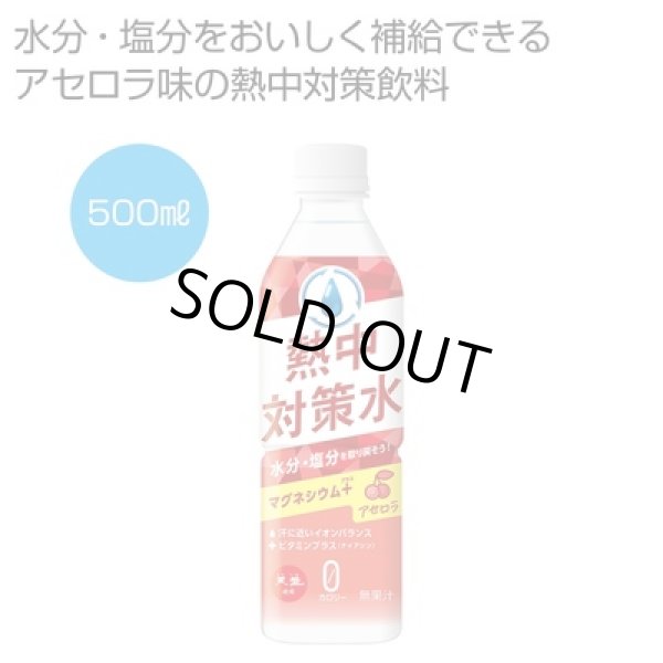 熱中対策水　アセロラ味５００ｍｌの写真