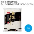 新潟県産こしひかり１ｋｇの写真