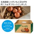 北海道産じゃがいも（男爵）＆玉ねぎセット２．２ｋｇの写真