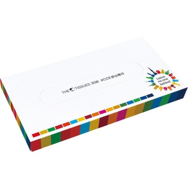 画像2: ザ・ティッシュ30W #CO2排出権付 (2)