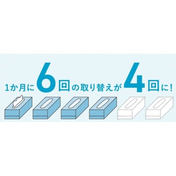 画像4: スコッティティシューフラワー２５０Ｗ３個組 (4)