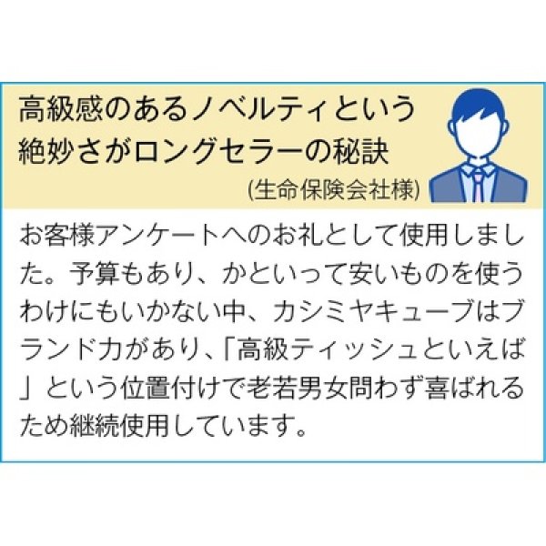 画像3: スコッティカシミヤ220W (3)