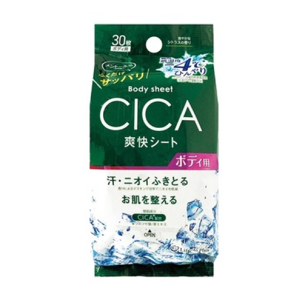 ボディシート（－４℃、ＣＩＣＡ配合）３０枚の写真