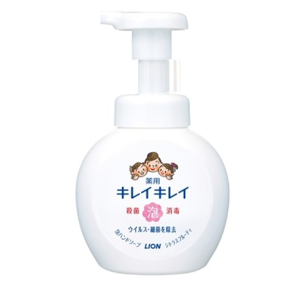 キレイキレイ薬用泡ハンドソープ２５０ｍｌ【１０カートン以上】の写真