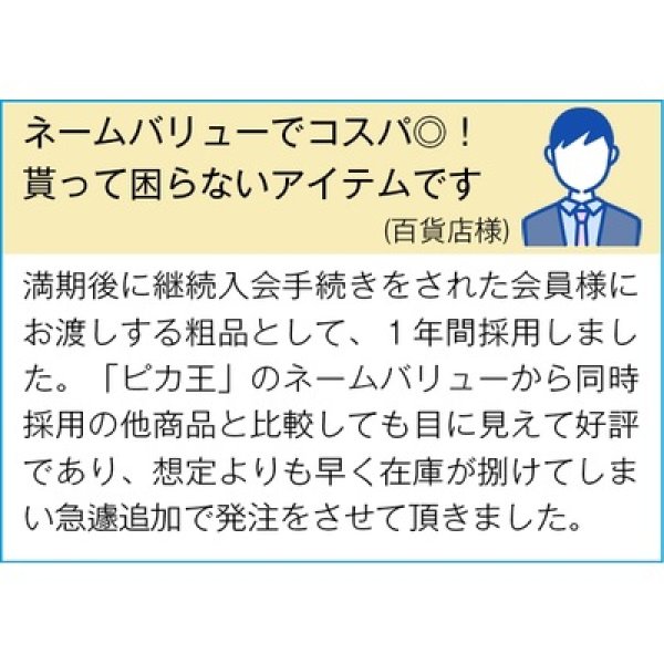 画像2: ピカ王ミニ (2)