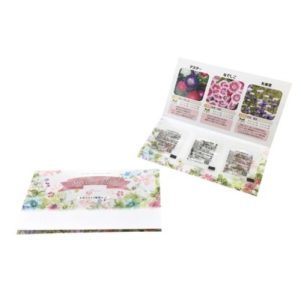 グリーンメール種子３個セット（花）の写真