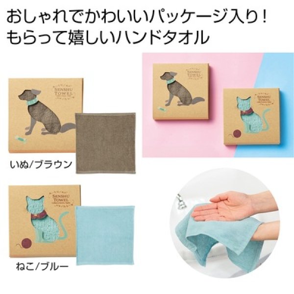 泉州はんどたおるの写真