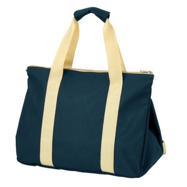 画像3: 背負えるレジカゴラゲッジ (3)