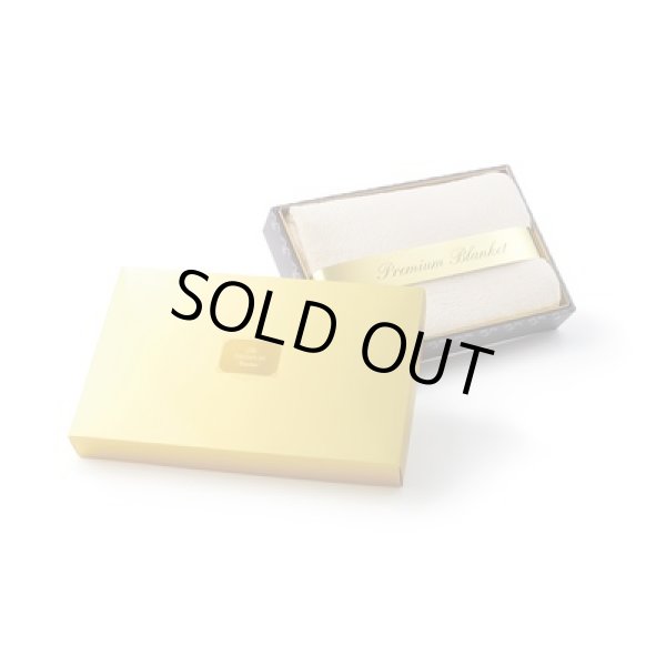 画像2: プレミアムブランケット（ライトグレー） (2)