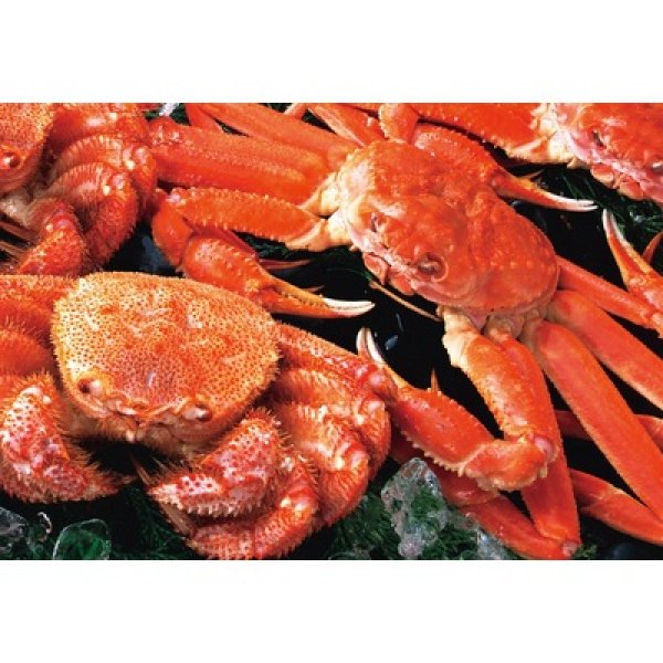 【冷凍】北海かにくらべ２杯の写真