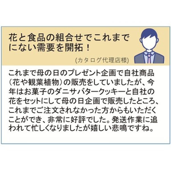 画像4: ダニサバタークッキー９０ｇ（１５枚） (4)