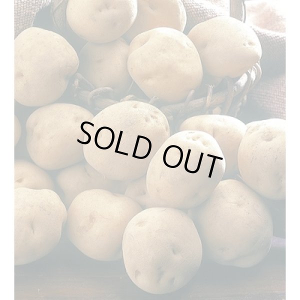 画像3: 北海道産男爵じゃがいも詰め放題キット２０ｋｇ（約２０人用） (3)