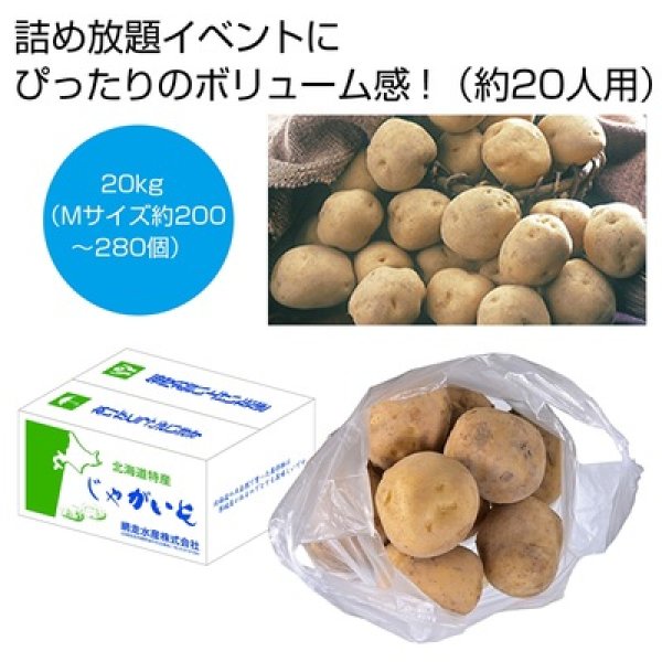 北海道産男爵じゃがいも詰め放題キット２０ｋｇ（約２０人用）の写真