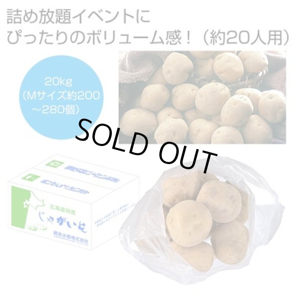 北海道産男爵じゃがいも詰め放題キット２０ｋｇ（約２０人用）の写真