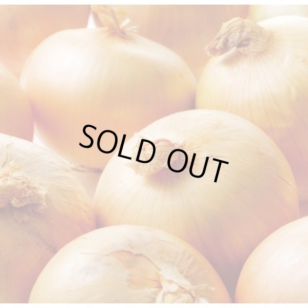 画像3: 北海道産玉ねぎ詰め放題キット２０ｋｇ（約２０人用） (3)