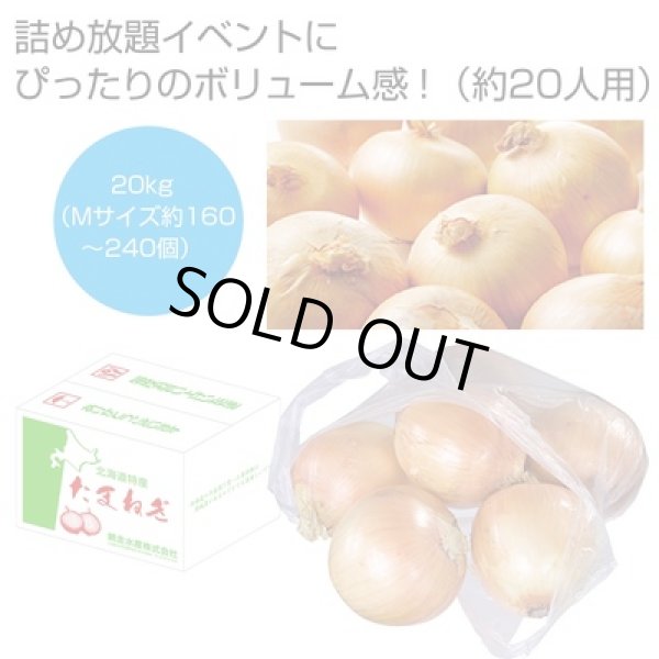 北海道産玉ねぎ詰め放題キット２０ｋｇ（約２０人用）の写真